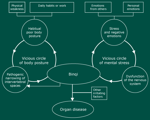 The double vicious circle of disease.